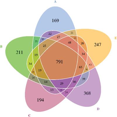 Effect of Dietary Amylose/Amylopectin Ratio on Intestinal Health and Cecal Microbes’ Profiles of Weaned Pigs Undergoing Feed Transition or Challenged With Escherichia coli Lipopolysaccharide